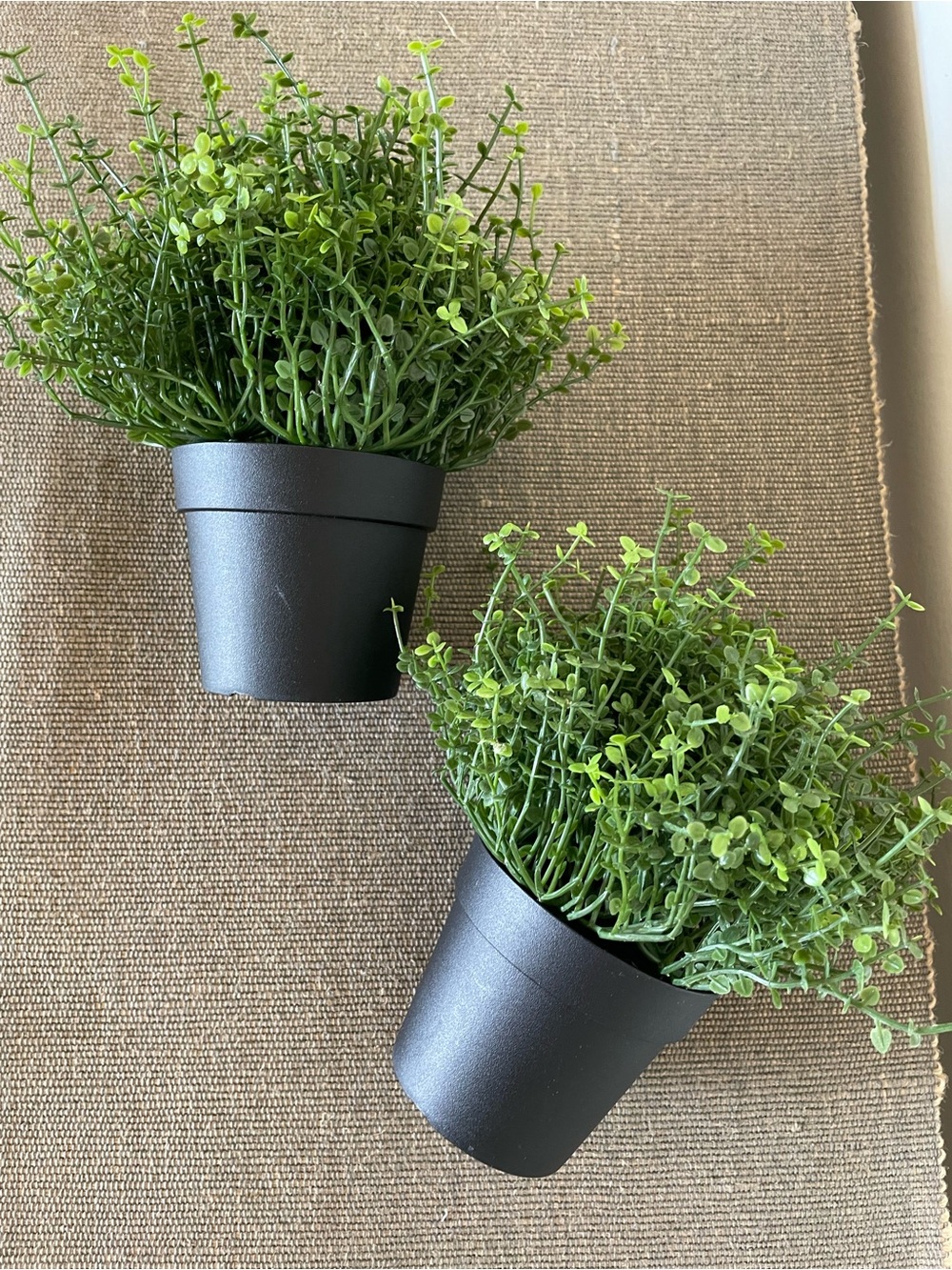 2 IKEA FEJKA BABY’S TEARS 3 ½" Artificial Potted Plant Indoor/ Outdoor - Picture 3 of 6